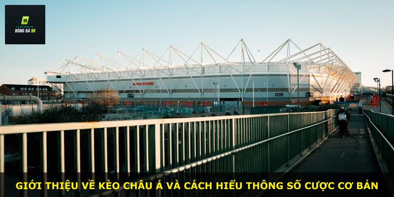 Giới thiệu về kèo châu Á và cách hiểu thông số cược cơ bản