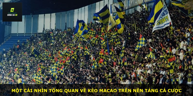 Một cái nhìn tổng quan về kèo Macao trên nền tảng cá cược