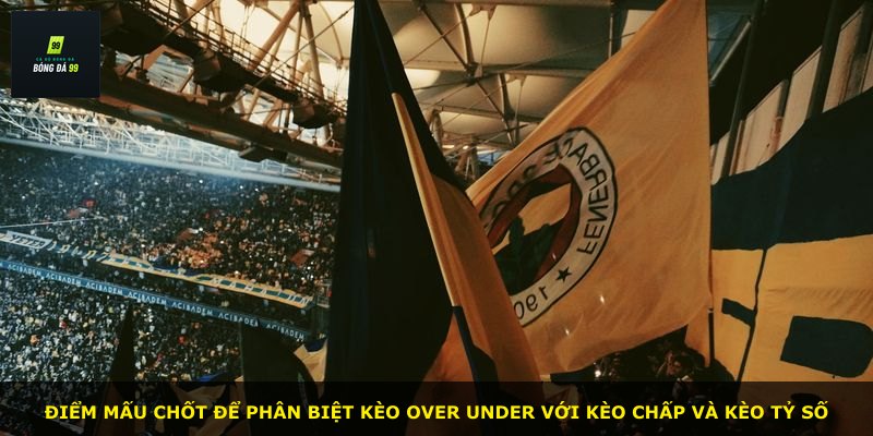 Điểm mấu chốt để phân biệt kèo Over Under với kèo chấp và kèo tỷ số