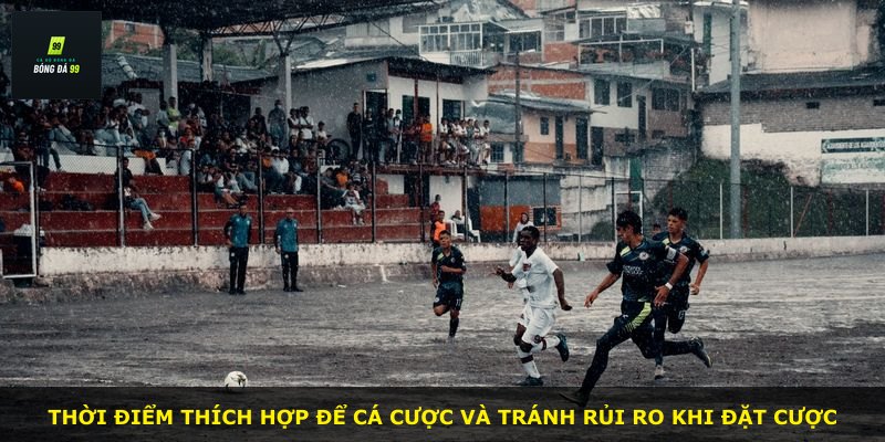 Thời điểm thích hợp để cá cược và tránh rủi ro khi đặt cược